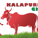 Kalapurna Natural A2 Desi Buffalo Ghee Bottle - 15 LTR